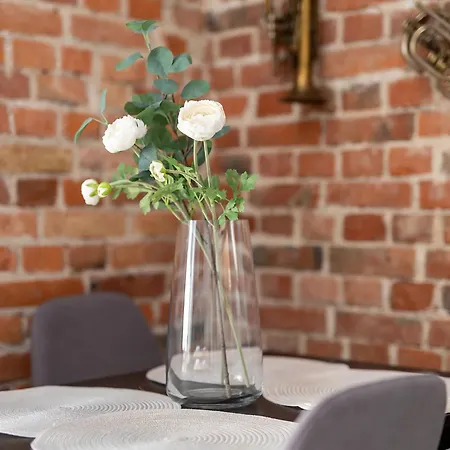 Stare Music Apartment *